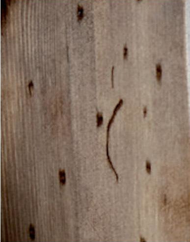 HOLZBODENSTRUKTUR MIT SPIEGEL POZZO BACILE